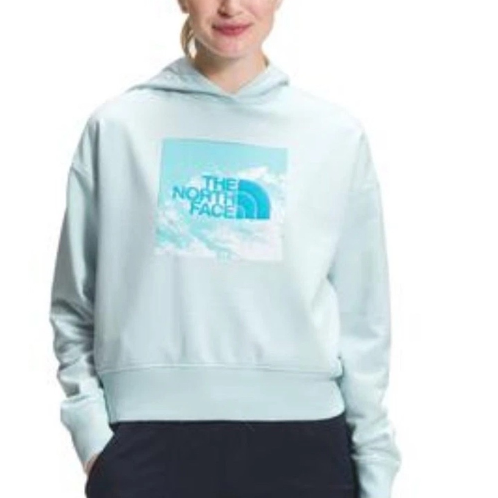 THE NORTH FACE The North Face Logo Play Hoodie Women's Large